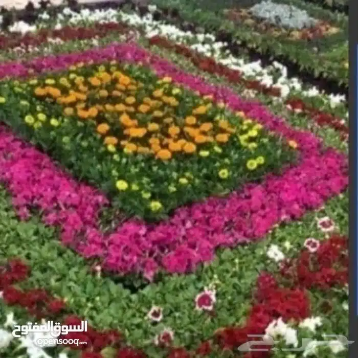 تنسيق الحدائق المنزلية 8