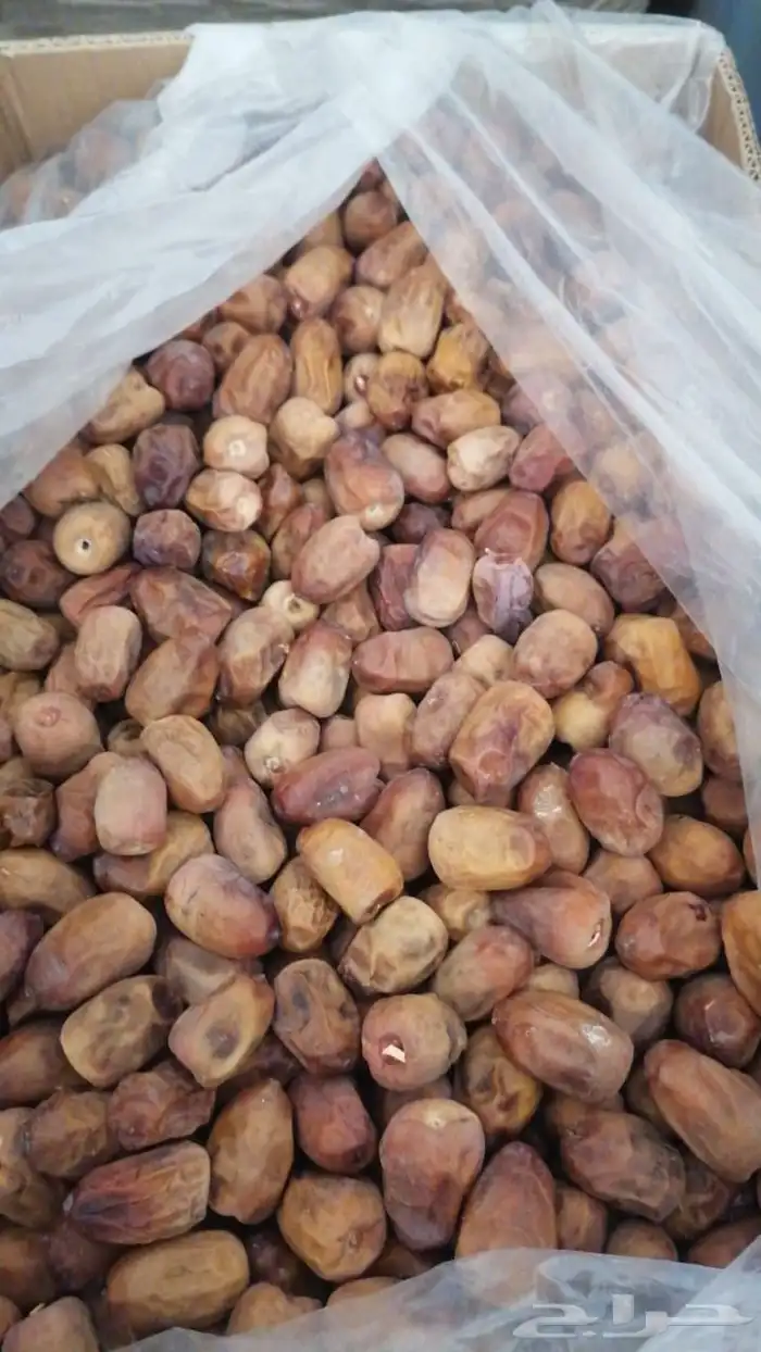 تمر بجميع انواعه Dates of all kinds 5