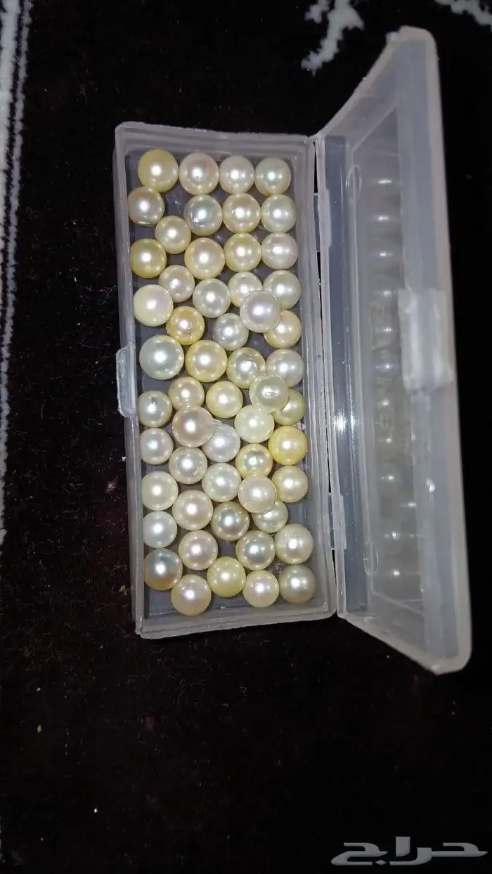 للبيع لؤلؤ طبيعي حر (بدون ث قب) عدد 54 حبة من اللؤلؤ الطبي 0