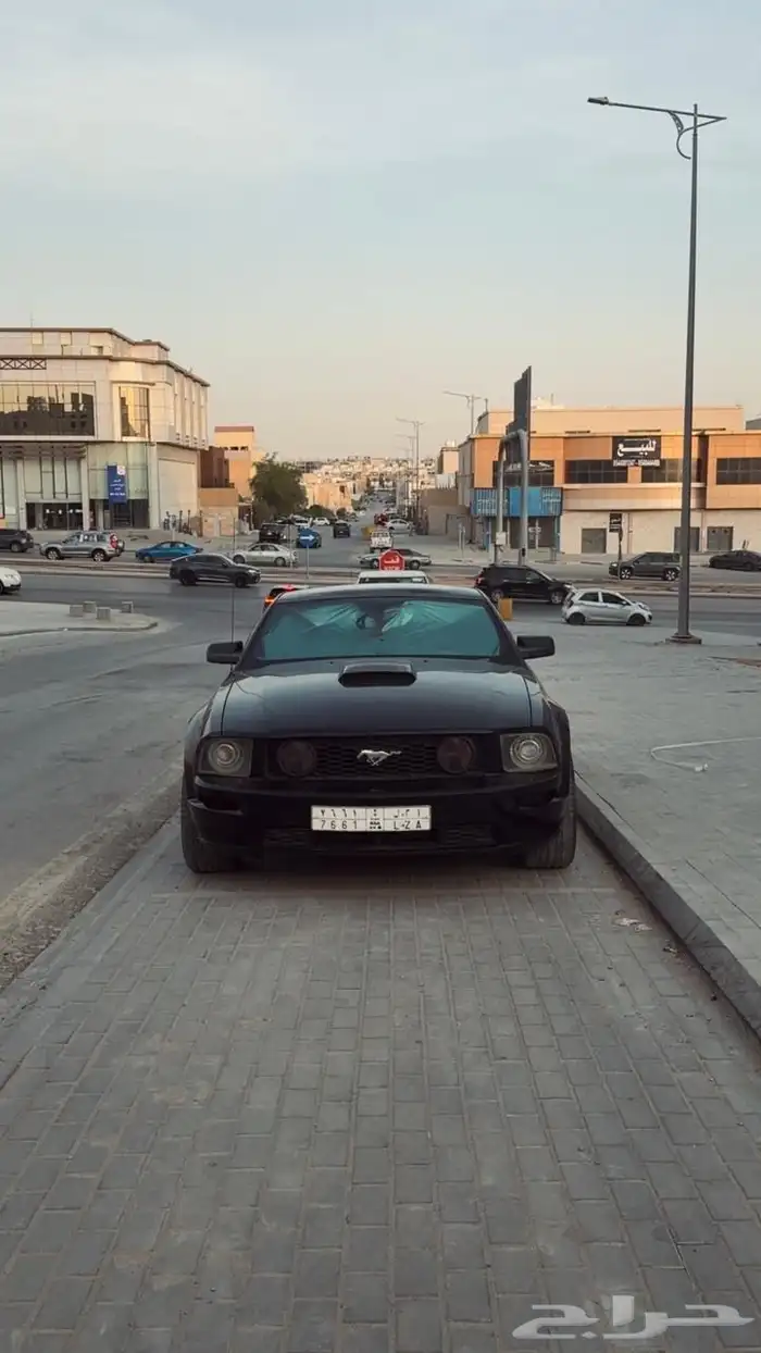 موستنج جي تي 45 عام للبيع 3