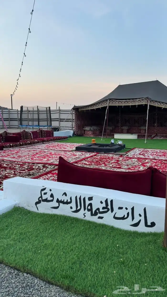 مخيمات الوتين للاجار اليومي 11