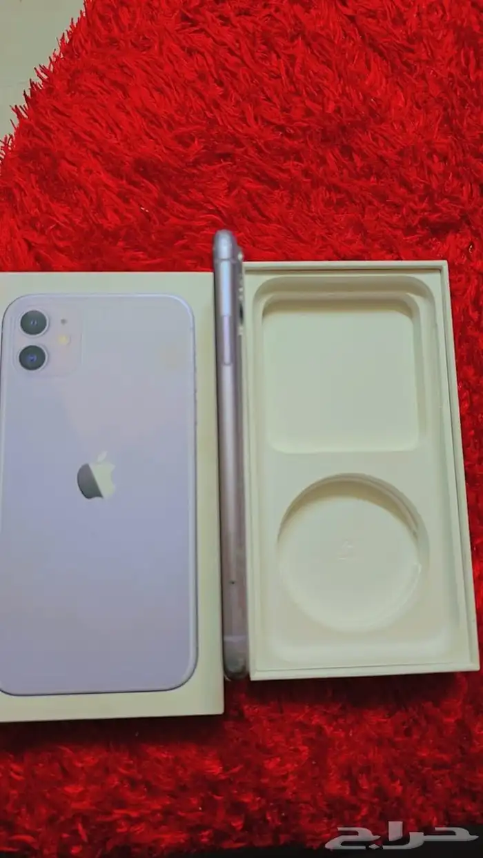 ايفون11 العادي 4