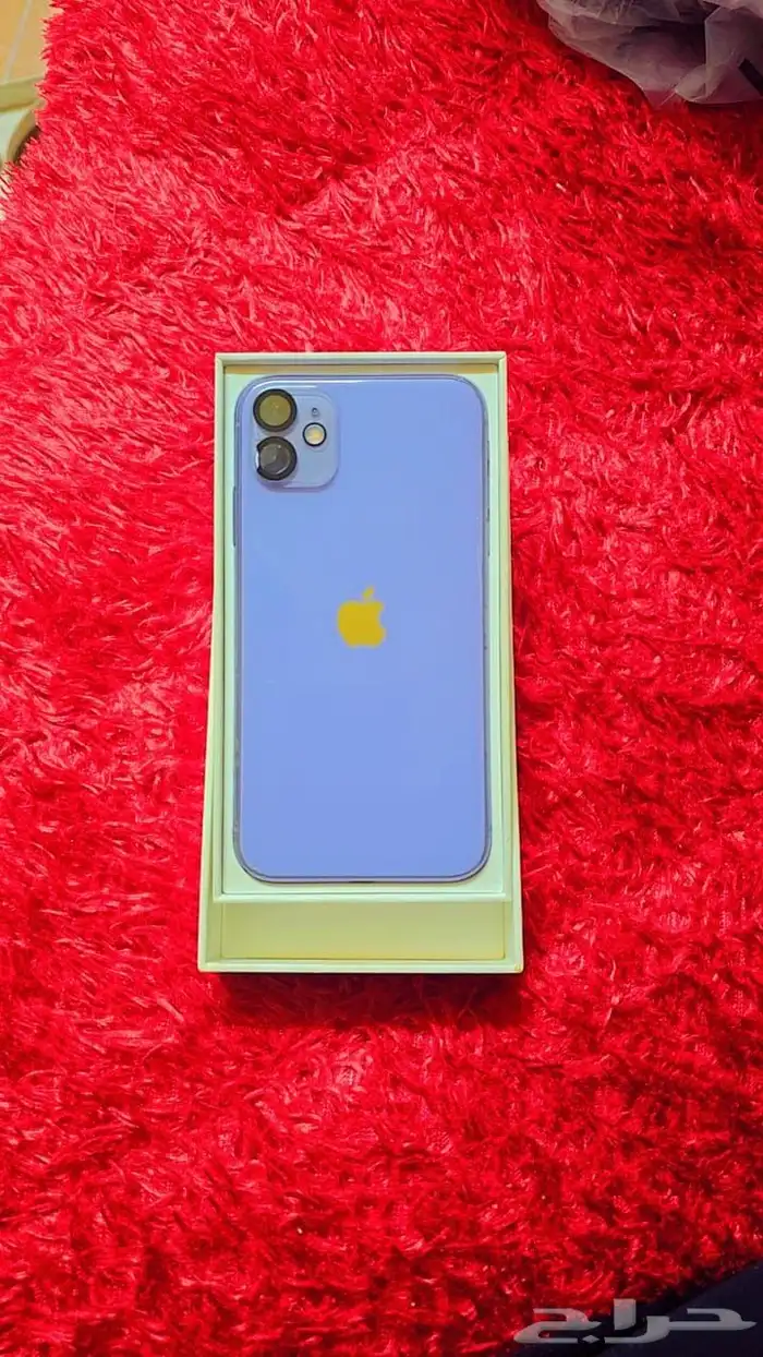 ايفون11 العادي 6