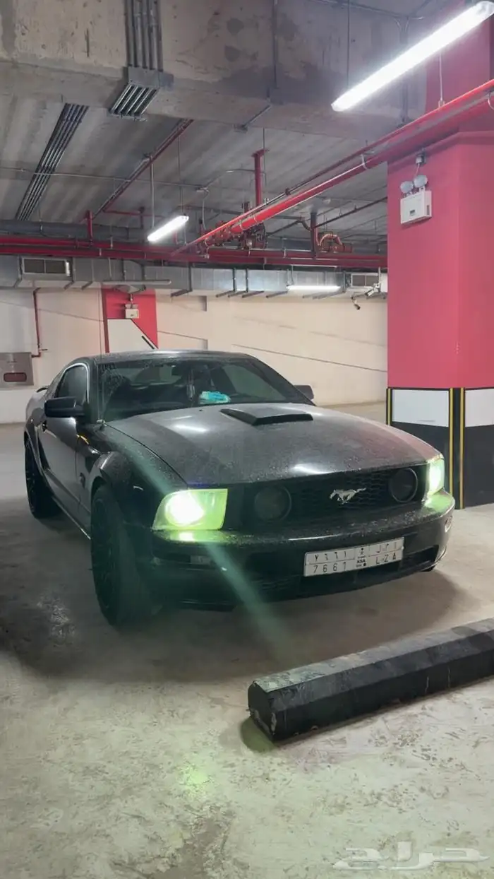 موستنج جي تي 45 عام للبيع 2