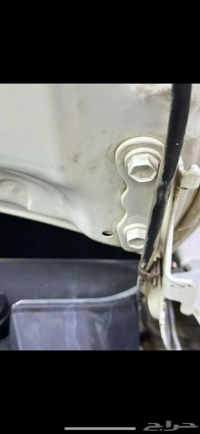 هيلكس عبد اللطيف جميل 6