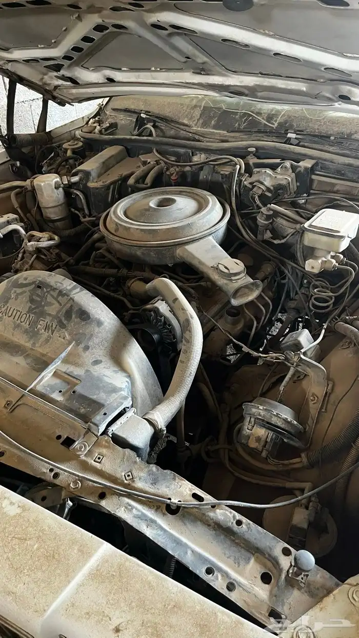 للبيع كابرس مديل 89 6