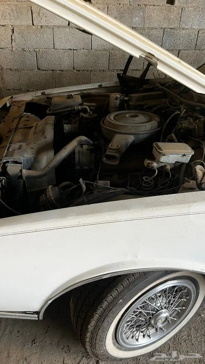 للبيع كابرس مديل 89 12