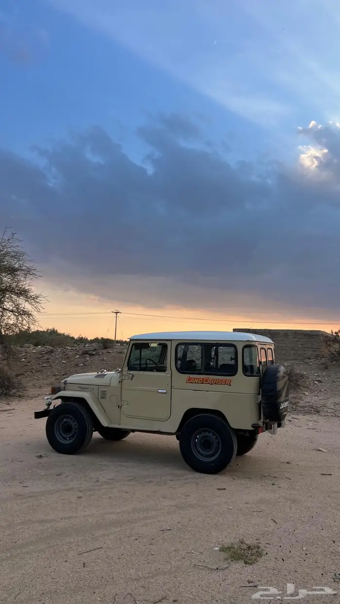 جيب مقفص 84LX 6