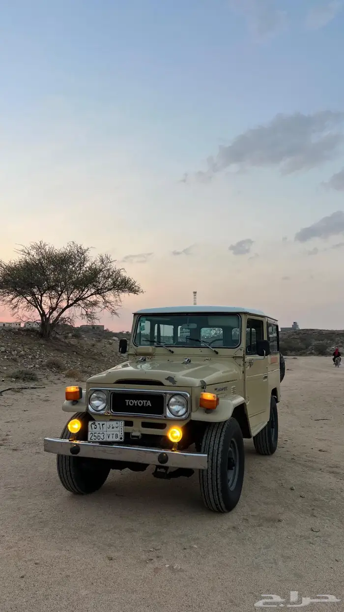 جيب مقفص 84LX 2