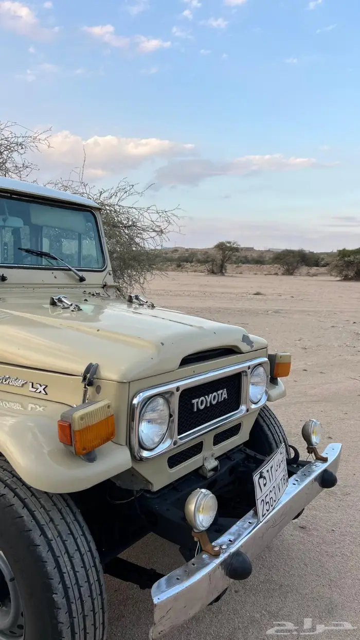 جيب مقفص 84LX 4