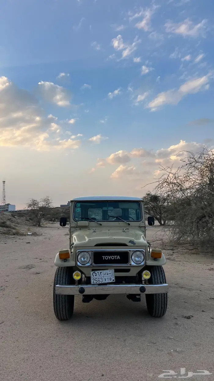 جيب مقفص 84LX 12