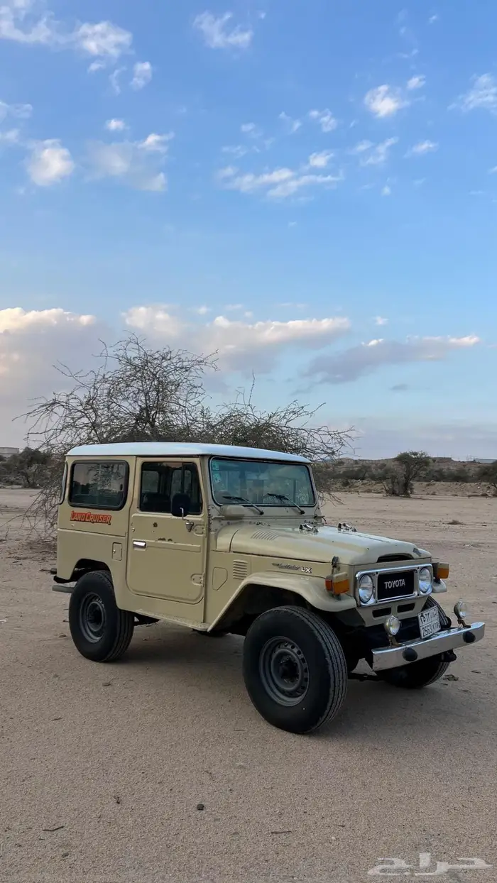 جيب مقفص 84LX 0