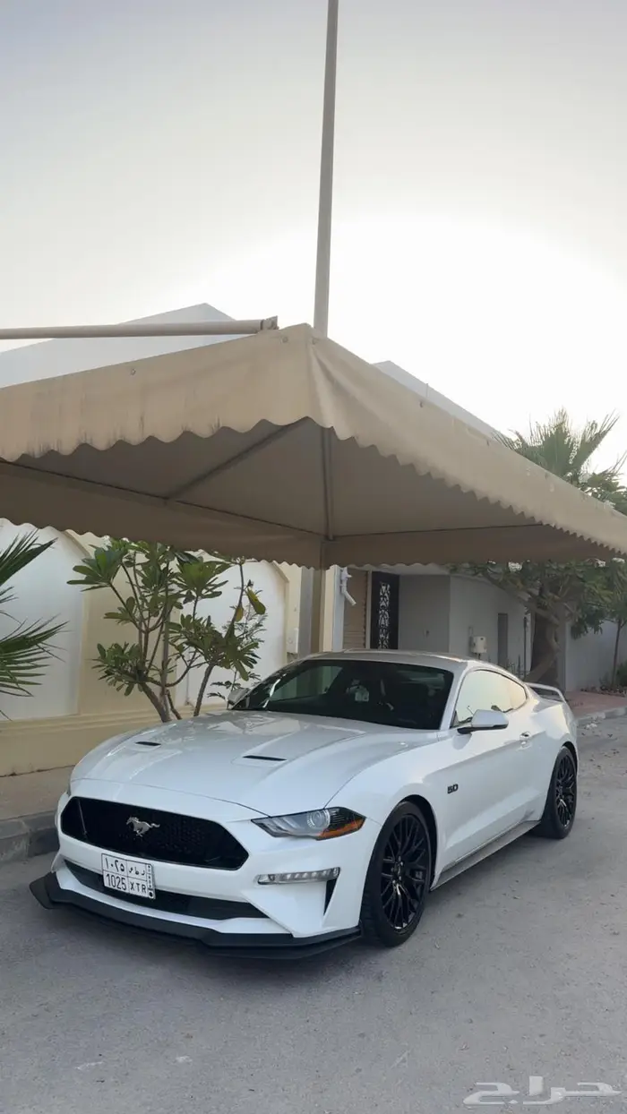 موستنج 2019 Performance Package 0