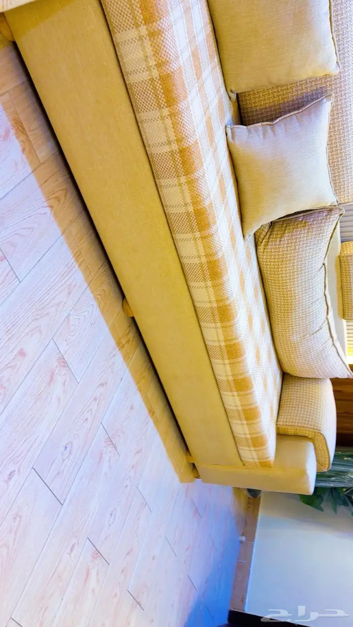 جدة حي الفضيله 5