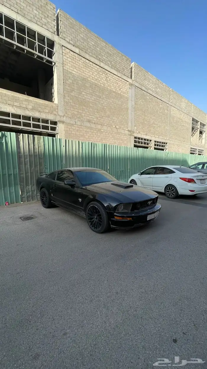 موستنج جي تي 45 عام للبيع 0