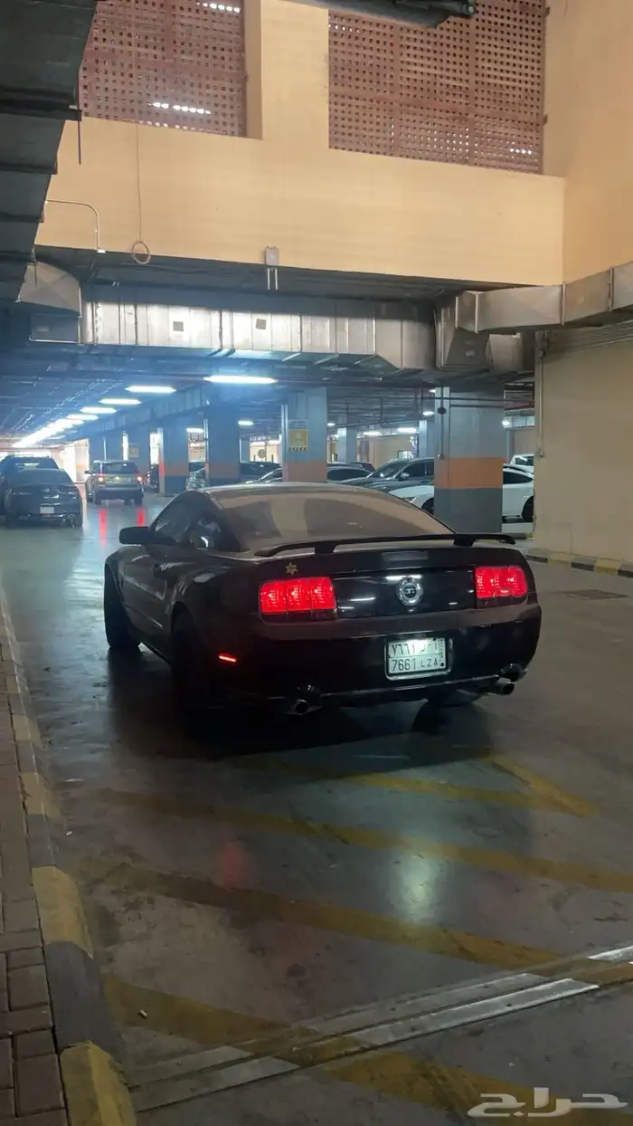 موستنج جي تي 45 عام للبيع 4