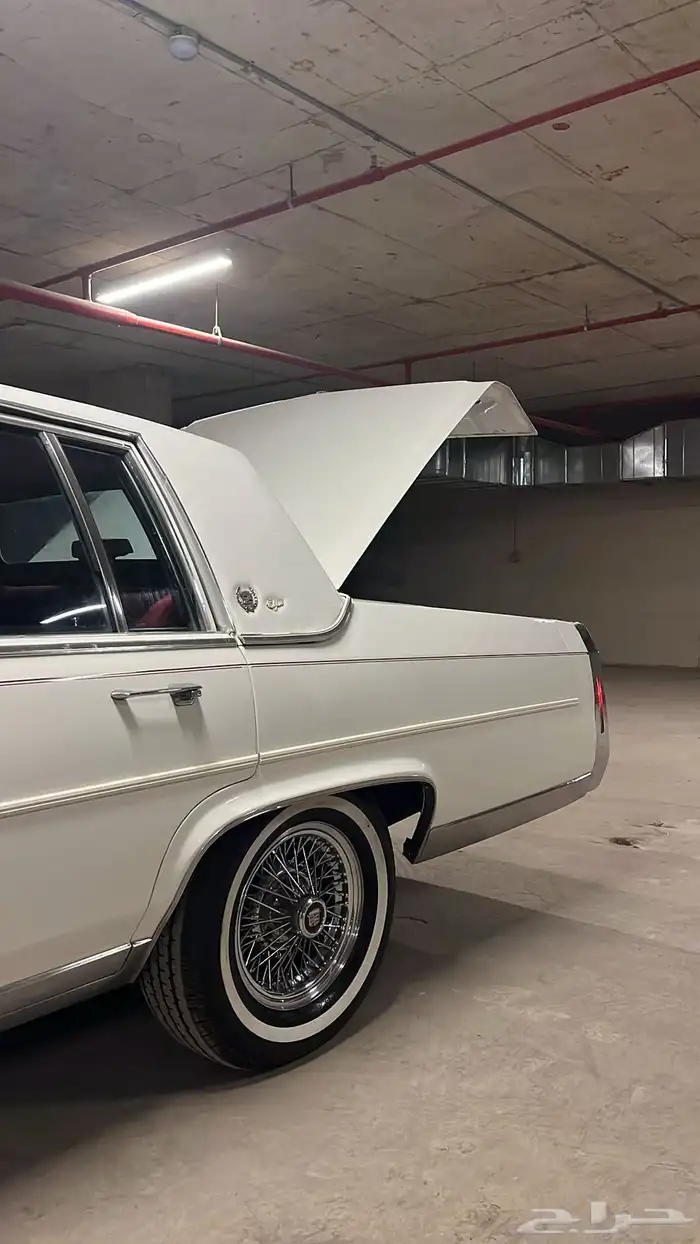 كدلك فليتودد مديل 1988 10