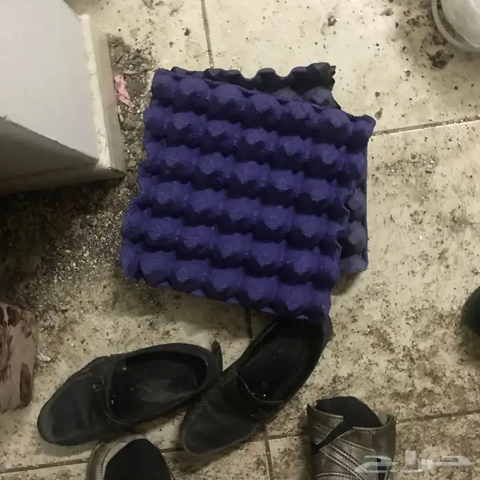 المصباح المنير في تفسير ابن كثير وعطر نسائي 17