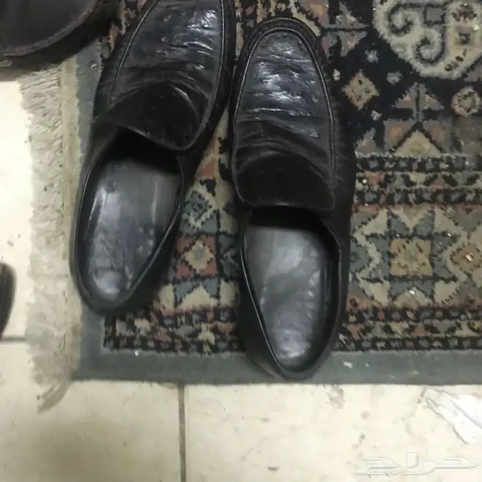 المصباح المنير في تفسير ابن كثير وعطر نسائي 30