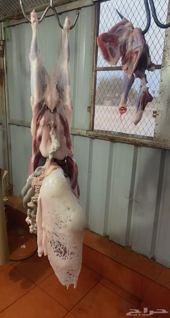 ذبايح مع خدمة الذبح والتوصيل 2