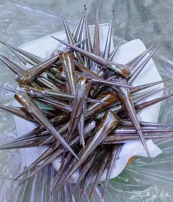 نقاشه الرياض نقش حناء الرياض 8