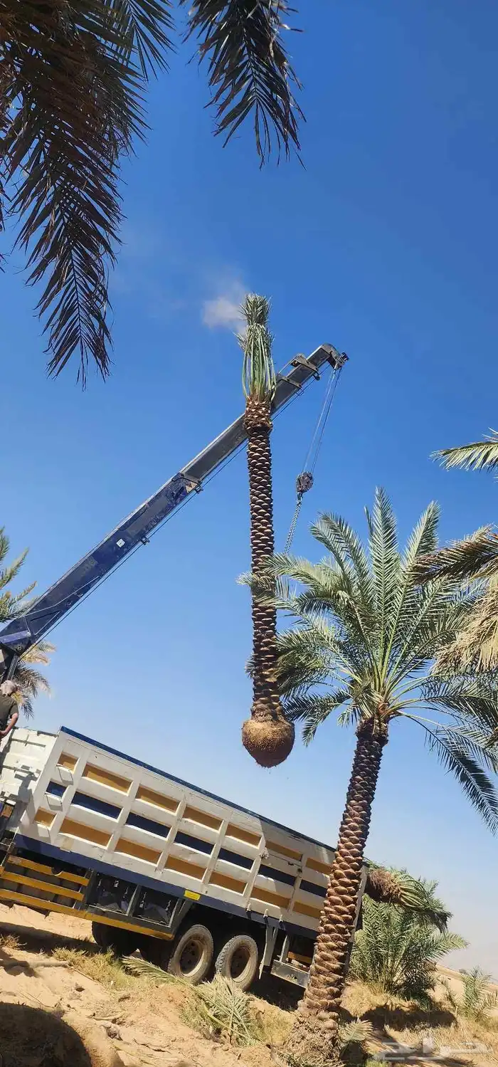 نقابل عربي الطول 4 إلى 7 متر 0