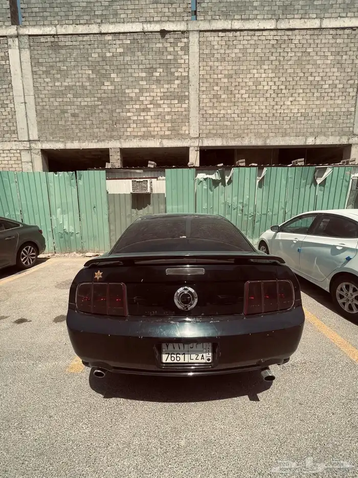 موستنج جي تي 45 عام للبيع 7