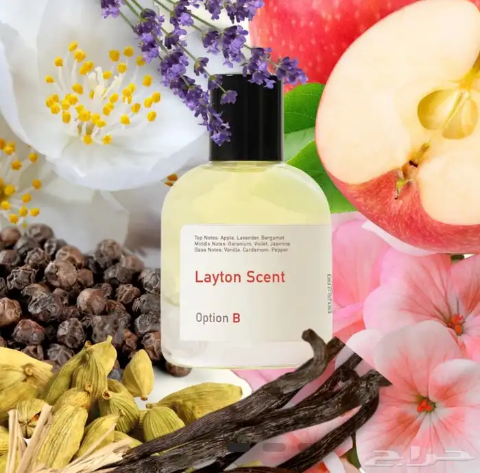 عطر اوبشن بي   LAYTON   O Wood 3