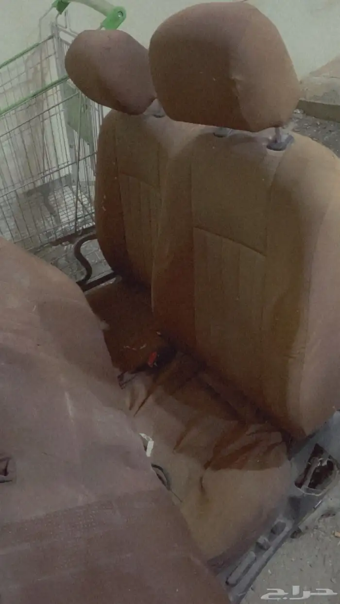 مراتب جنسس وكاله مديل 2014 0