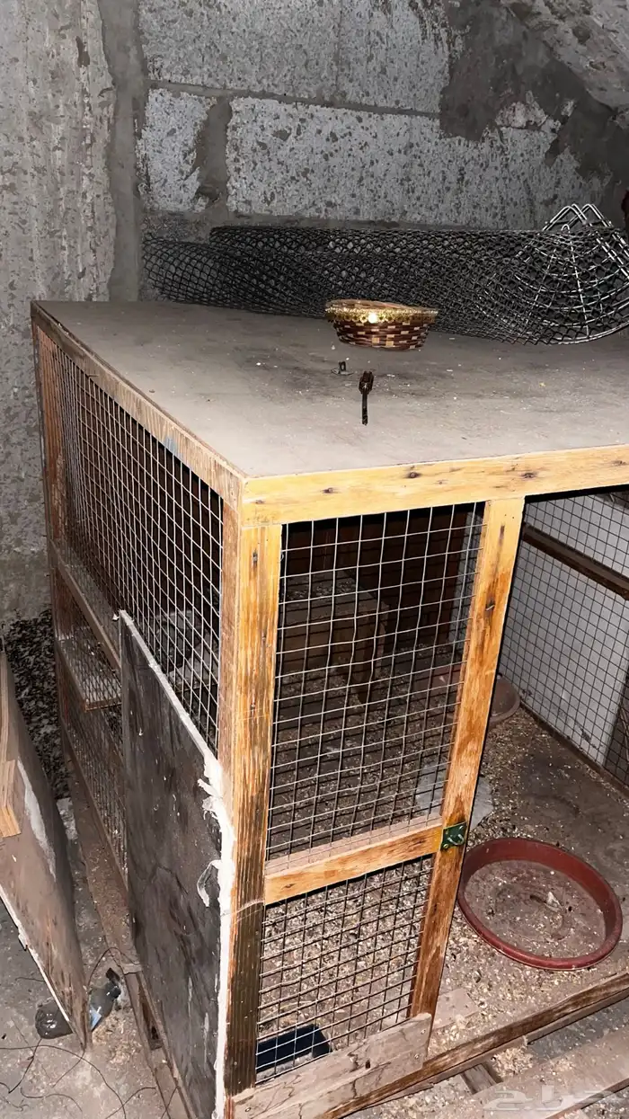 قفص حمام او دجاج للبيع 3