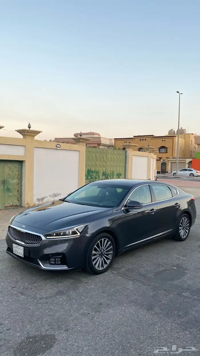 كادينزا 2017 16