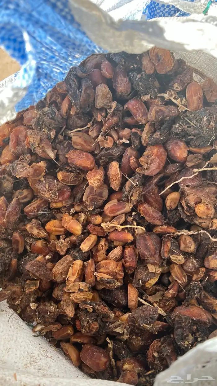 تمر نفيع للحلال نظيف تعبئة ممتازة اكياس شعير 3