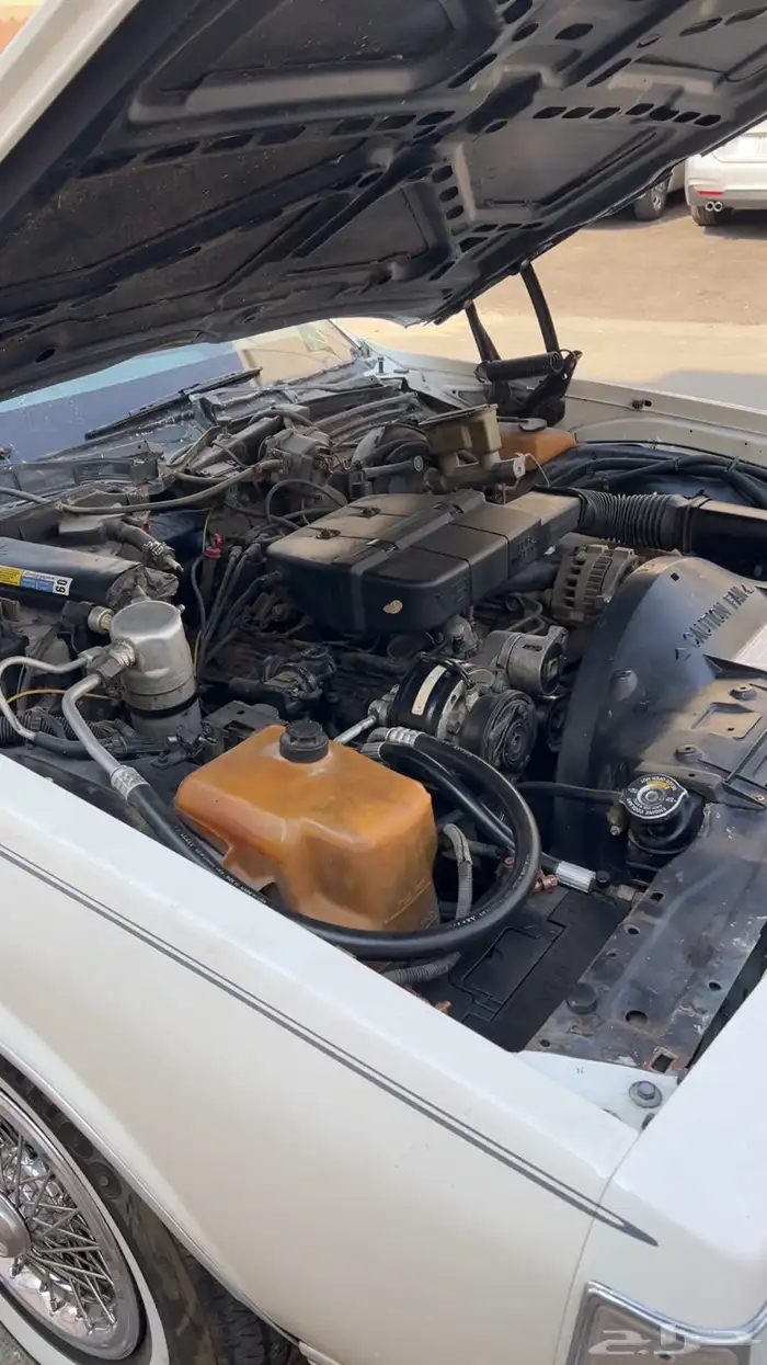 كابرس Ls 1989 16