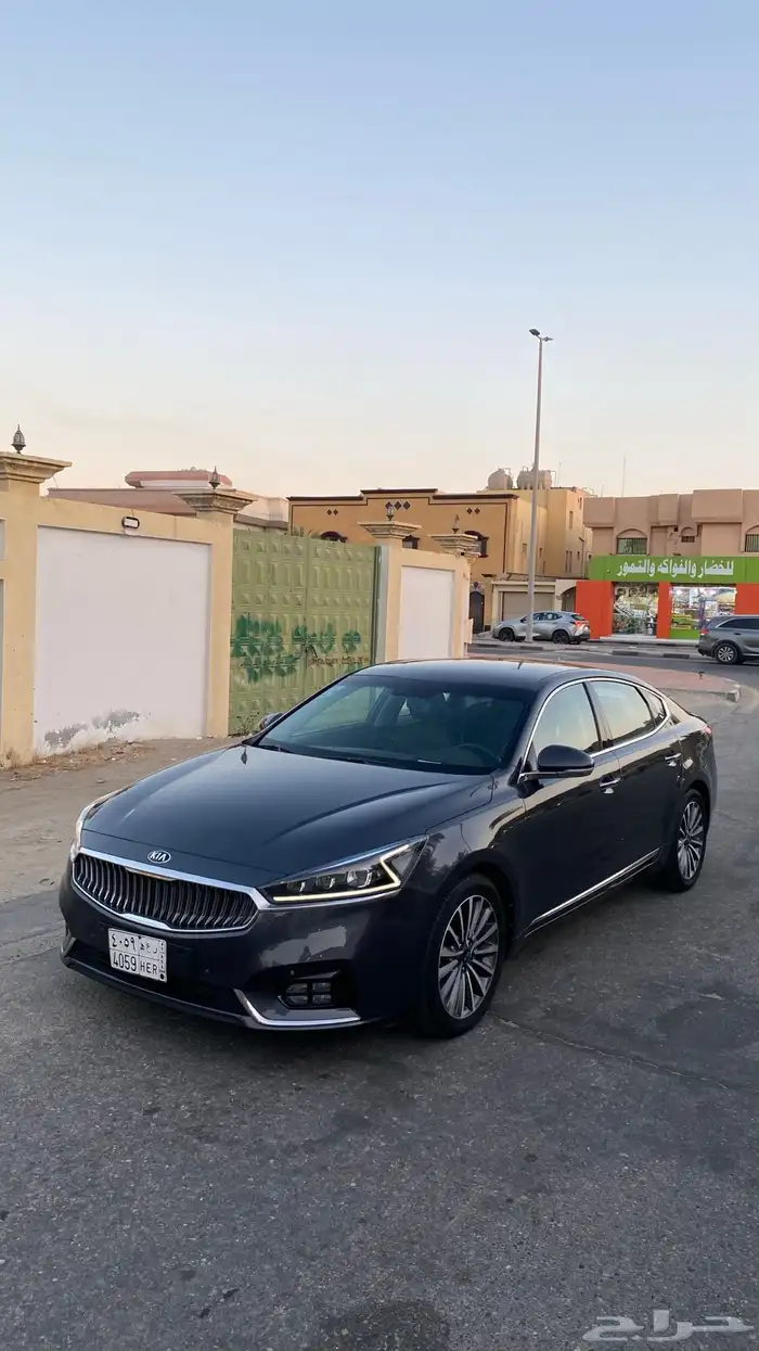 كادينزا 2017 3