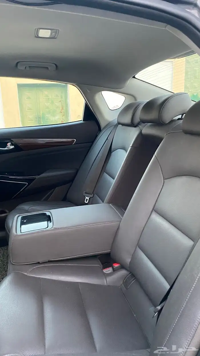 كادينزا 2017 20