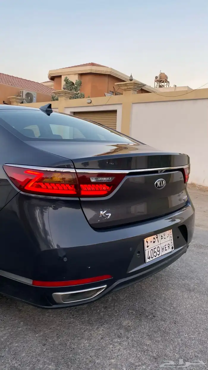 كادينزا 2017 15