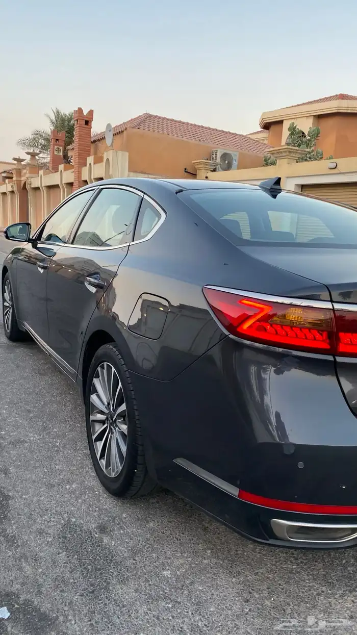 كادينزا 2017 14