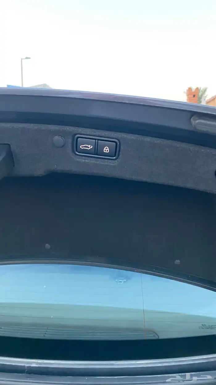 كادينزا 2017 30