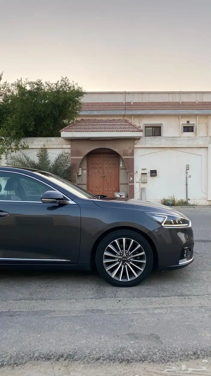 كادينزا 2017 5