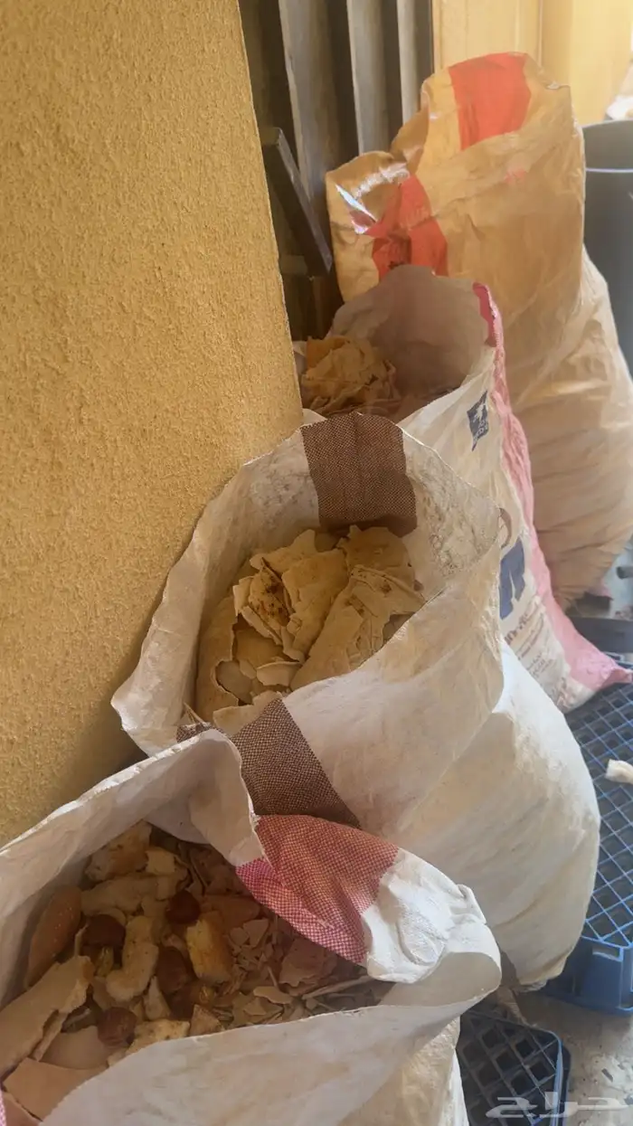 خبز يابس للغنم 0