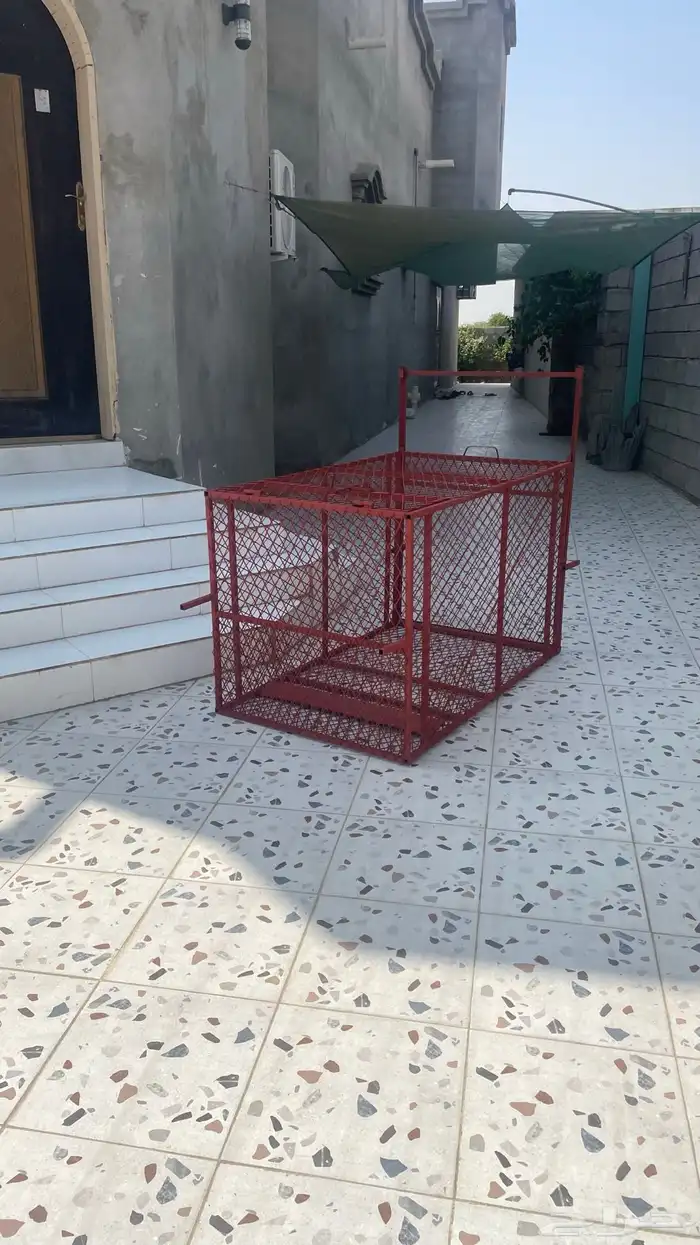 مصيدة قرود 6