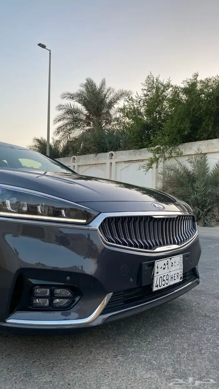 كادينزا 2017 2