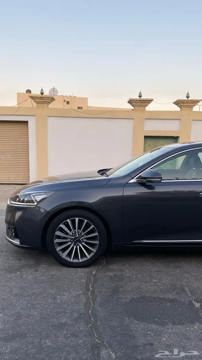 كادينزا 2017 17