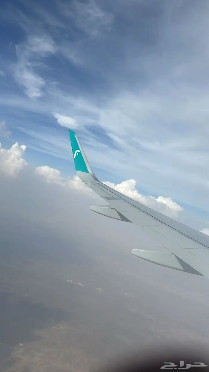 شريك لمستثمر أجنبي Foreign investor partner wanted 0