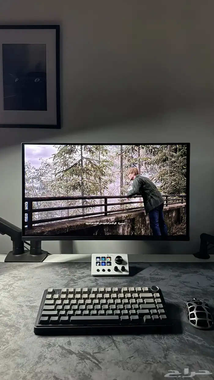 شاشة قيمنق اوليد QD-OLED 1