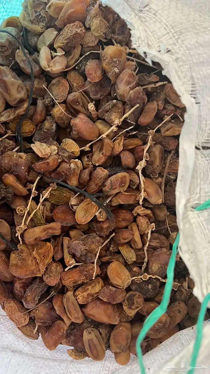 تمر نفيع للحلال نظيف تعبئة ممتازة اكياس شعير 4