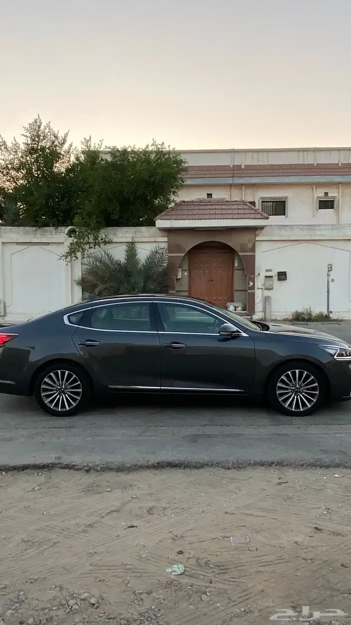 كادينزا 2017 9