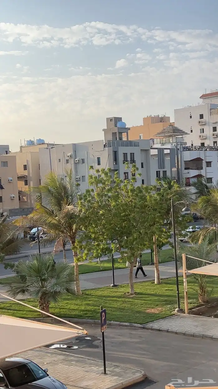 مطلوب في حي الفيصلية شقة بغرفة واحدة و مطبخ غير مفروشه 0