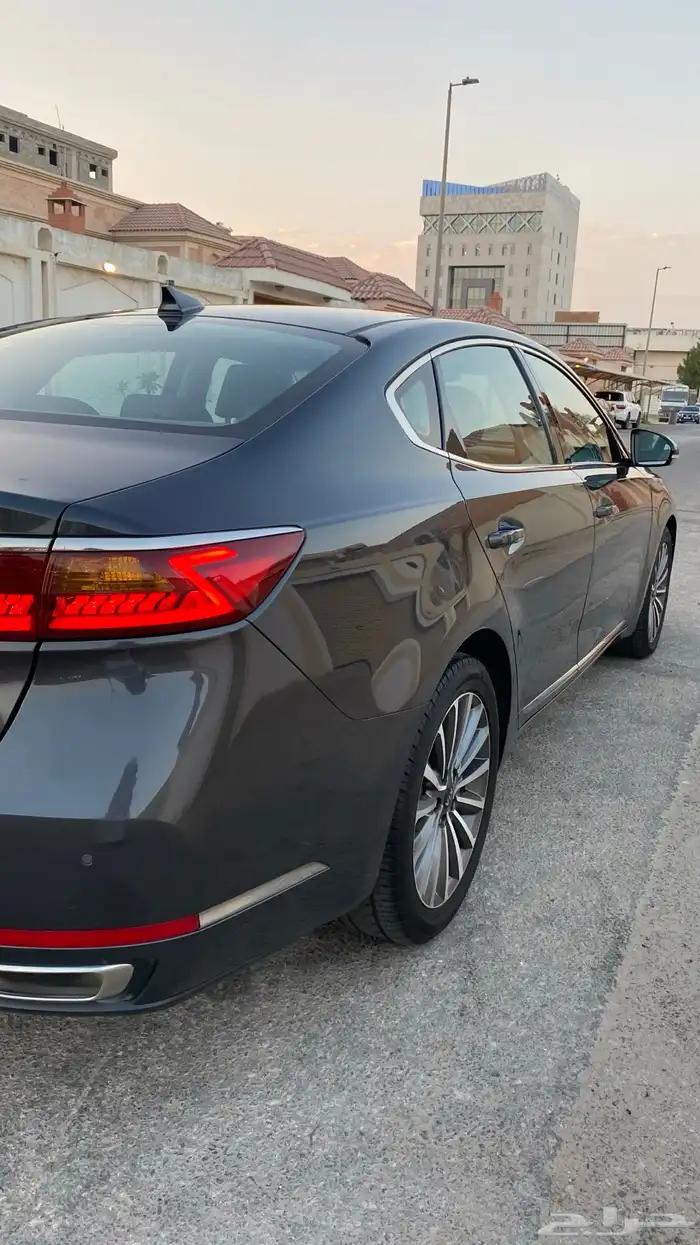 كادينزا 2017 7