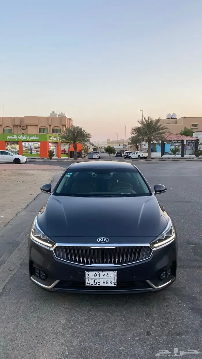 كادينزا 2017 4